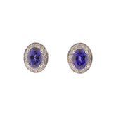 Tanzanite and Diamond Halo Stud Earrings