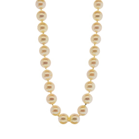 Japanese Akoya Pearl Strand with 'Good Fortune' Stamped 14K Yellow Gold Clasp