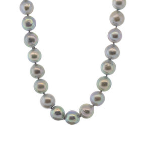 Opera-Length Silver Akoya Pearl 32" Strand