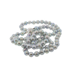 Opera-Length Silver Akoya Pearl 32" Strand